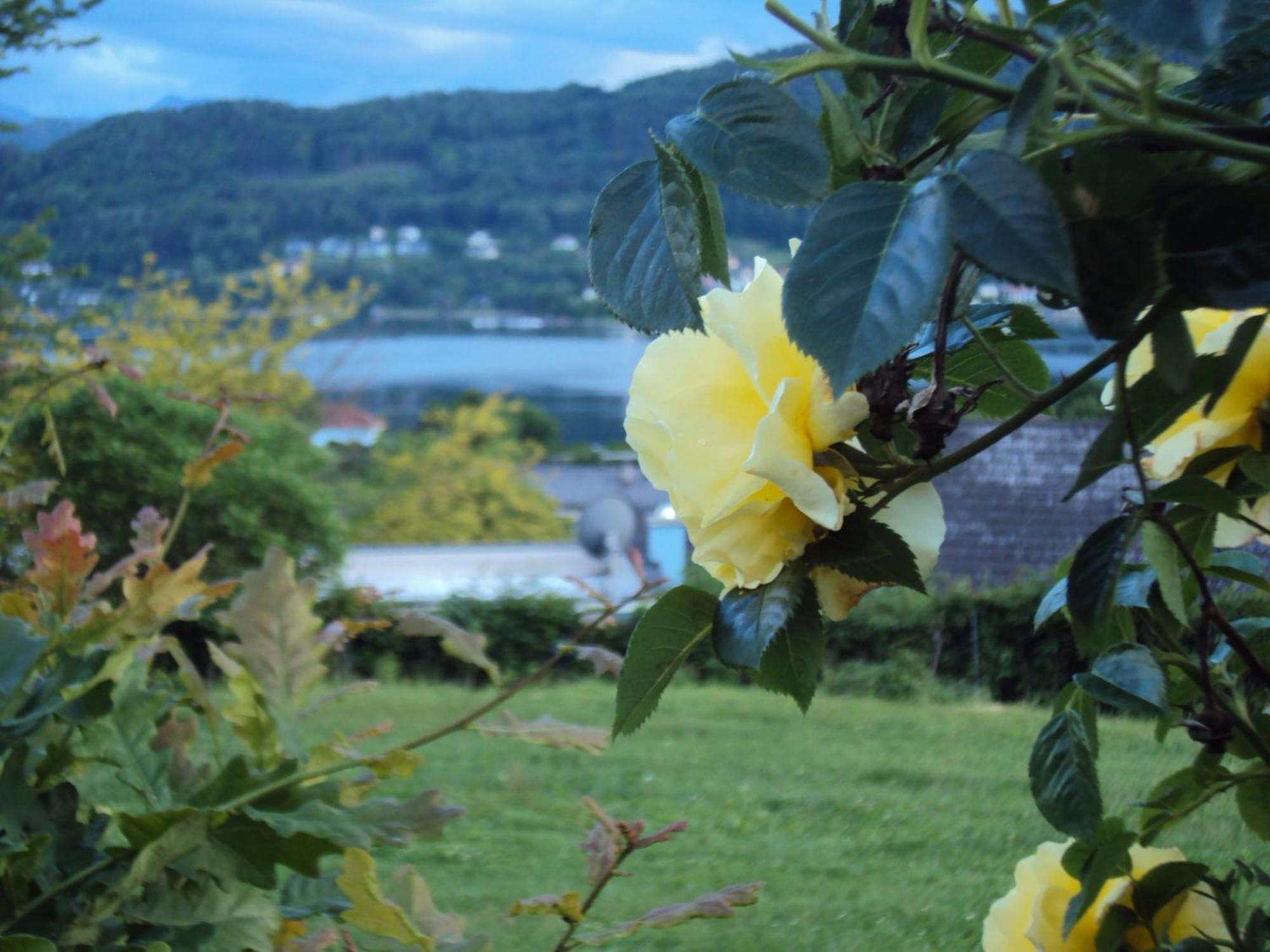 Bed and Breakfast St. Oswalderhof à Pörtschach am Wörthersee Extérieur photo