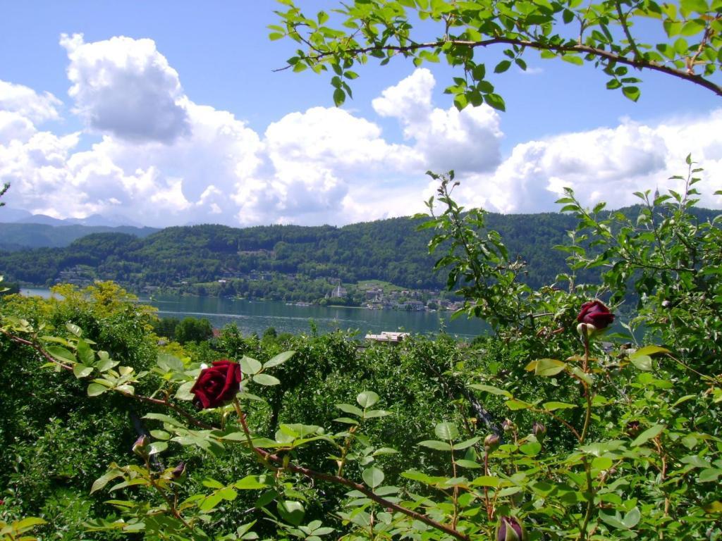 Bed and Breakfast St. Oswalderhof à Pörtschach am Wörthersee Extérieur photo